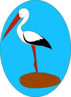 Portrait of the stork bird over blue background, vector or color illustration