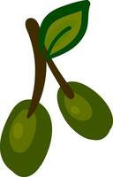 Clipart of two green olive fruits and a leaf, vector or color illustration