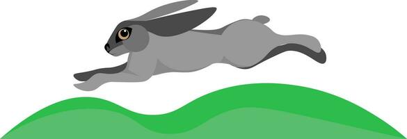 Drawing of a running hare, vector or color illustration