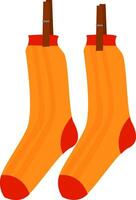 Clipart of the pair of socks hanging while clasped with the wooden clips, vector or color illustration