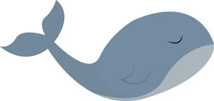 Clipart of a whale set isolated white background viewed from the side, vector or color illustration