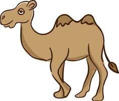 Camel in dessert , vector or color illustration