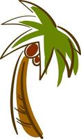 A tall palm tree, vector or color illustration