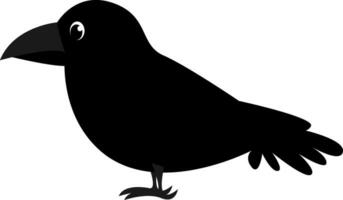 Black crow , vector or color illustration