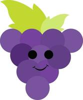 Purple grapes , vector or color illustration