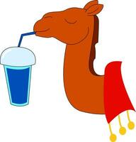 Camel with shake , vector or color illustration