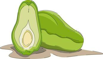 rebanado chayote , vector o color ilustración