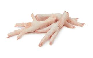 Raw chicken feet photo