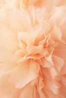 AI generated close up macro shot of carnation flower in peach fuzz color of the year 2024 color photo