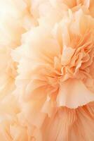 AI generated close up macro shot of carnation flower in peach fuzz color of the year 2024 color photo