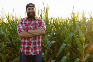 Farmer, close up of face in corn field photo