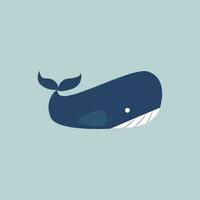 Whale, vector or color illustration.