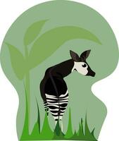 okapi, vector o color ilustración.