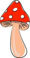 Mushroom, vector or color illustration.