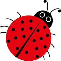 A red Ladybug, vector or color illustration.