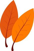 Two leaves with orange colour, vector or color illustration.