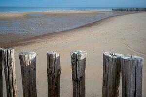 Weathered wood, breakwater at ebb tide on sandy beach photo