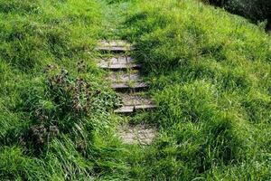 landscape with stairway photo