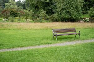 bench in the park photo