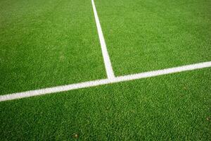 soccer field on grass photo