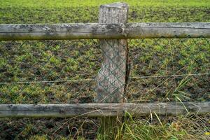 wooden fence with wire mesh photo