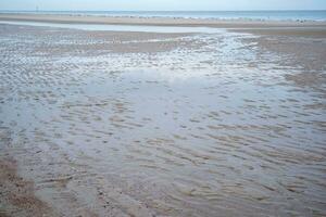 Dunes, clouds, breakwater at ebb tide on sandy beach photo