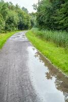 path in the landscape photo