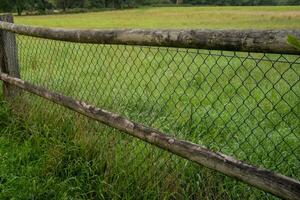 wooden fence with wire mesh photo