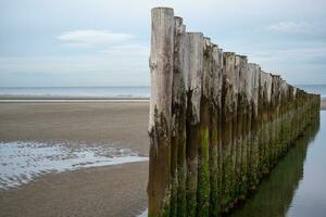 Dunes, clouds, breakwater at ebb tide on sandy beach photo