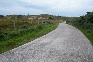 path in the dunes photo