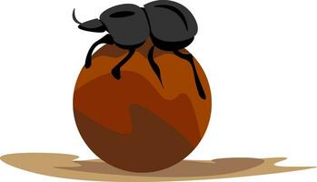 Image of dung beetle, vector or color illustration.