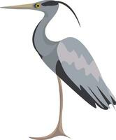 Image of egret, vector or color illustration.