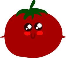 Image of cute tomato, vector or color illustration.