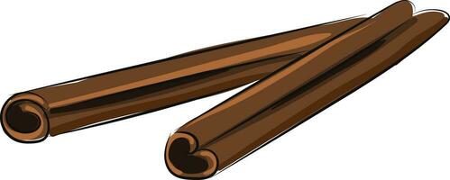 Image of cinnamon, vector or color illustration.