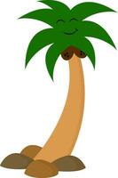 Image of coconut tree, vector or color illustration.