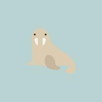 Image of animal -walrus, vector or color illustration.