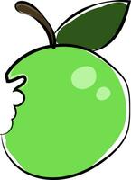 Image of apple partially eaten, vector or color illustration.