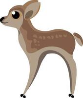 Image of baby deer, vector or color illustration.