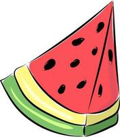 Image of watermelon, vector or color illustration.