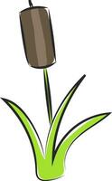 Image of bamboo, vector or color illustration.