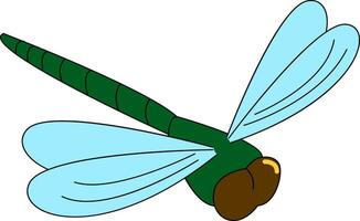 Green mosquito , vector or color illustration