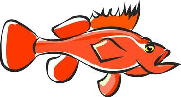 Clipart of orange colored marine fish sea bass vector or color illustration