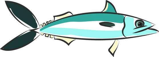 Drawing of the mackerel fish vector or color illustration