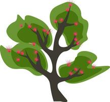 Clipart of a tall branched green Acacia tree blossomed with pink flowers vector or color illustration