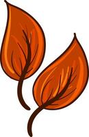Clipart of two orange-colored leaves vector or color illustration