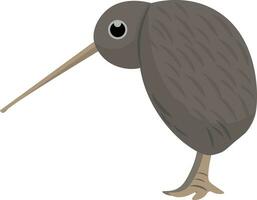 clipart de el kiwi marrón pájaro conjunto en aislado blanco antecedentes visto desde el lado vector o color ilustración