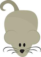 Drawing of a cute little grey mouse set on isolated white background viewed from the front vector or color illustration