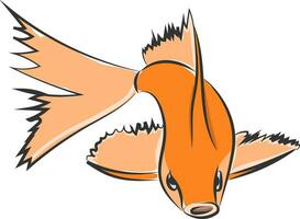 Drawing of an orange fish vector or color illustration