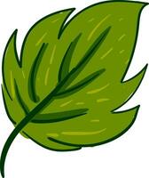 Clipart of an ovate green leaf with a margin small yellow lines and alternate venation vector or color illustration