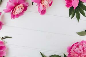 Pink and white peonies on a white wooden background, copy space, flat lay, greeting card. Valentine gift. valentine background photo